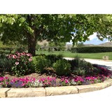 Arrowhead Landscape Services - Landscaping in Wheat Ridge