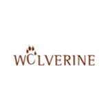 Wolverine Services LLC - Business Consulting in Colorado Springs