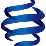 Swizzle - Educational Consultants in Denver