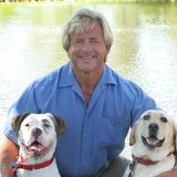 Gillett Veterinary Clinic - Veterinarians/Vets in Denver