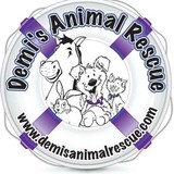 Demi's Animal Rescue Inc - Veterinarians/Vets in Aurora