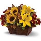 Blue Moon Floral & Gifts - Florists in Denver