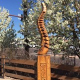 Alpine Chiropractic - Chiropractors in Denver