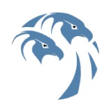 Twin Eagle Consulting - Business Consulting in Englewood