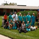 Barnett Gundula DVM - Veterinarians/Vets in Littleton