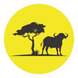 Jonas Brothers Taxidermy - Taxidermy in Louisville