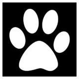 Pet Care FURever - Pet Services in Arvada
