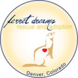 Ferret Dreams - Pet Stores in Denver