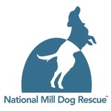 Mill Dog Rescue Network - Animal Shelters in Colorado Springs