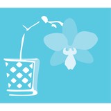 Blue Orchid Therapeutic - Massage in Denver