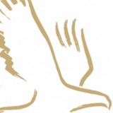 Barbara Seeds ma Lmft - Marriage Counselling & Family Counselling in Colorado Springs