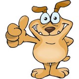 Day Fido's Out - Child Care & Day Care in Denver