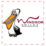 Goings Bradley E DDS - Dentists in Windsor