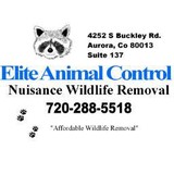 Elite Animal Control - Pest Control in Aurora