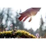 Alder Grove Wellness Group, LLC - Psychiatrists in Denver