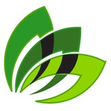 Avicenna Acupuncture - Acupuncture in Denver