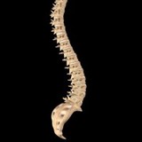 Phelps James M DC - Chiropractors in Denver