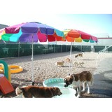 Playful Pooch - Pet Services in Denver