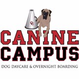 Frontranger Inc - Pet Services in Colorado Springs