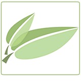 Sage Research & Design - Web Design & Development in Boulder