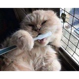 O'Neill Larry J DDS - Oral & Maxillofacial Surgeons in Parker