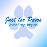 Just For Paws - Veterinarians/Vets in Littleton