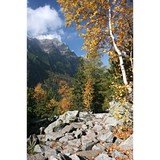 Father & Son Maintenance - Handyman in Aurora