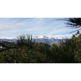 Willis Timber Works LLC - Business Consulting in Colorado Springs