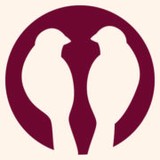 Joann Zepp Pllc - Marriage Counselling & Family Counselling in Colorado Springs