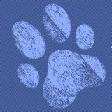 Denver Animal Hospital - Veterinarians/Vets in Denver