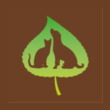 Aspen Arbor Animal Hospital - Veterinarians/Vets in Broomfield