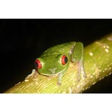 Central America Journeys - Travel Agents in Denver