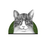CatTails Feline Health Center - Veterinarians/Vets in Colorado Springs