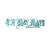 Cry Baby Ranch - Antiques in Denver