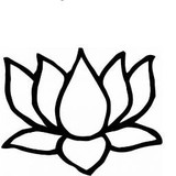 Sean Thompson D.C., C.C.A.P - Chiropractors in Parker