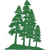Pine River Times - Other in Bayfield