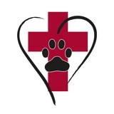 Bear Valley Chiropractic - Chiropractors in Denver