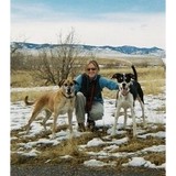 Weldon Monique DVM - Veterinarians/Vets in Aurora