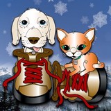Woof in Boots - Pet Services in Denver