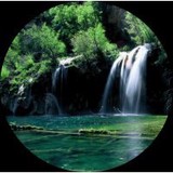Energy Endeavor - Acupuncture in Denver