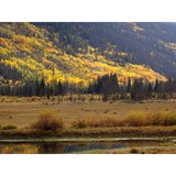 Habitat Construction LLC - Other in Rocky Ford
