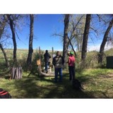 Quailrun - Other in Kiowa