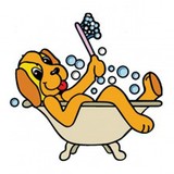 Curbside Clippers-Pet Grooming - Pet Groomers in Aurora