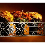 Shadow Mountain Forge Inc - Other in Conifer
