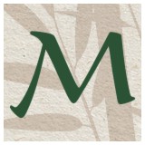 Mountain Spirit Acupuncture - Acupuncture in Denver
