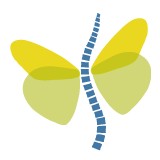 Shapiro Family Chiropractic - Chiropractors in Denver