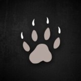 Mongoose Graphics - Graphic Design in Denver
