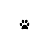 Action Paws - Pet Services in Colorado Springs