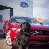 Phil Long Dealerships - Car Dealers in Colorado Springs