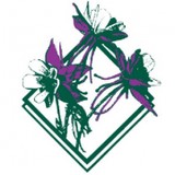 A Perfect Landscape - Landscape Architects in Englewood
